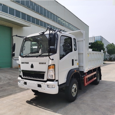 Sinotruk HOWO 4X4 camionneur à décharge 3 tonnes 2 tonnes 5 tonnes avec 4,2 tonnes d'essieu arrière et de performance