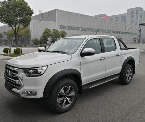JAC Mini Diesel Benzine 4X4/4X2 pick-up pour les besoins du client